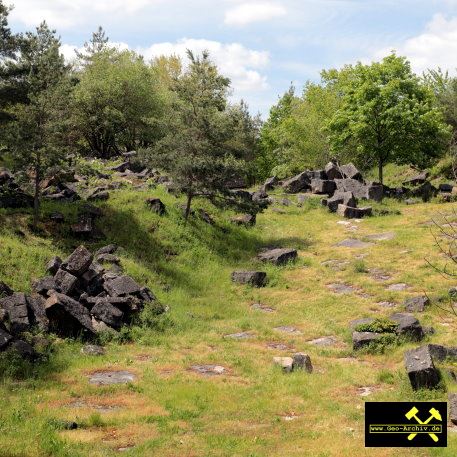 Quaderkalk Stbr. Luetzelbruch bei Lindelbach nahe Wuerzburg, Bayern, (D) - 18. Mai 2023 (17).JPG